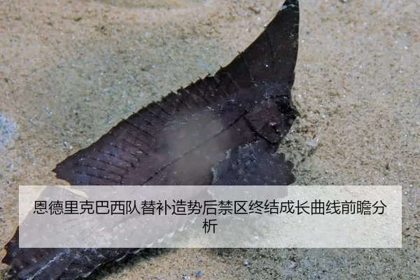 恩德里克巴西队替补造势后禁区终结成长曲线前瞻分析